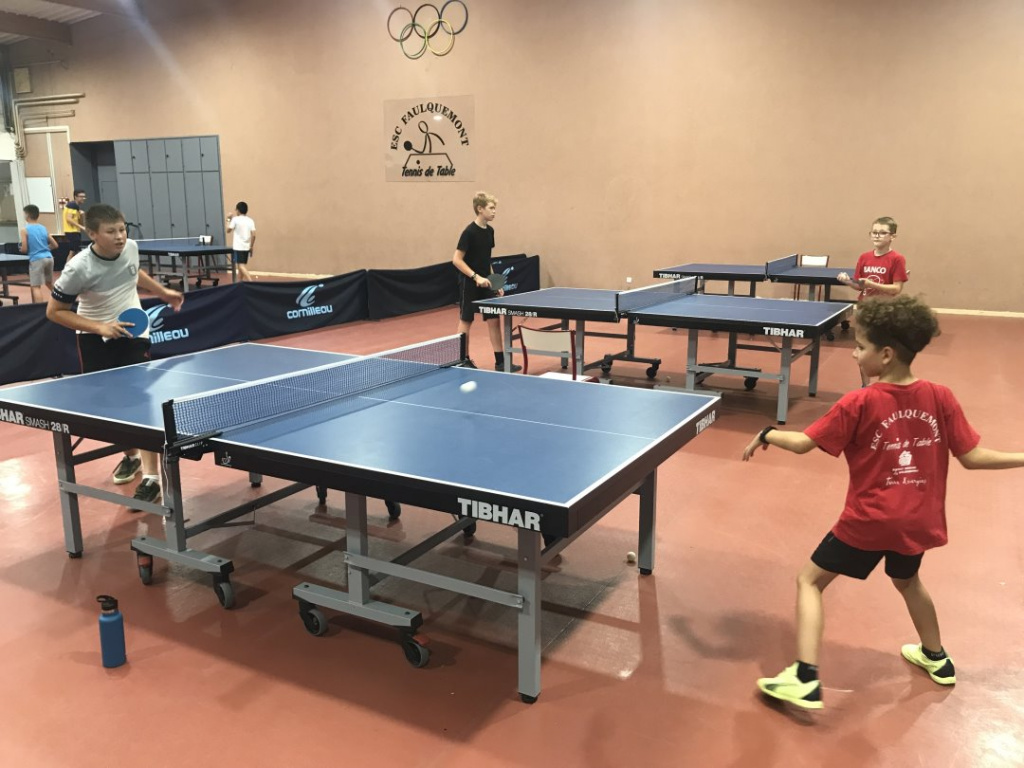 ESCF Activit s D Et 2023 Escf tt